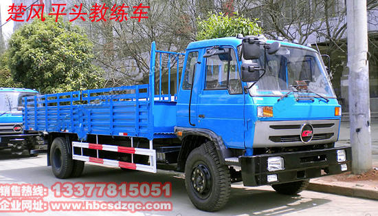 楚風(fēng)平汽油教練車圖片